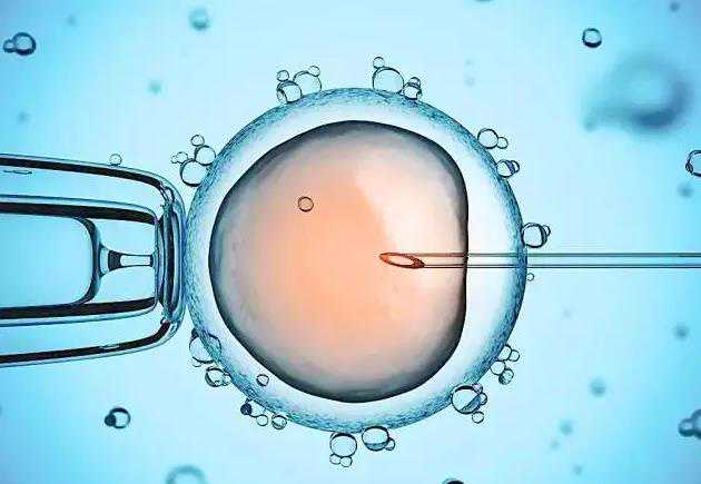 杭州代怀最正规的,试管是如何评估胚胎质量的？试管前调理身体！_西安供卵试