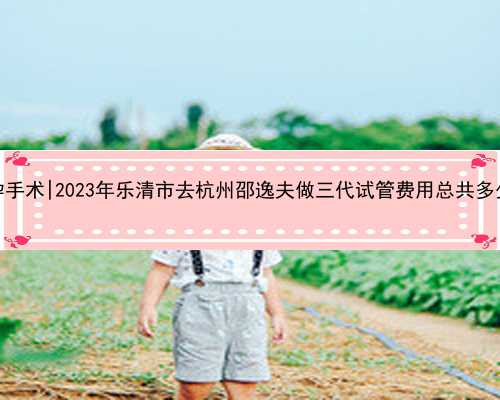 杭州医院代孕手术|2023年乐清市去杭州邵逸夫做三代试管费用总共多少？看这里