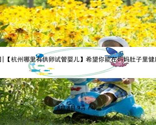 杭州最诚信的代孕公司|【杭州哪里有供卵试管婴儿】希望你能在妈妈肚子里健